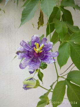 Daar us Salaam: Nature Walk